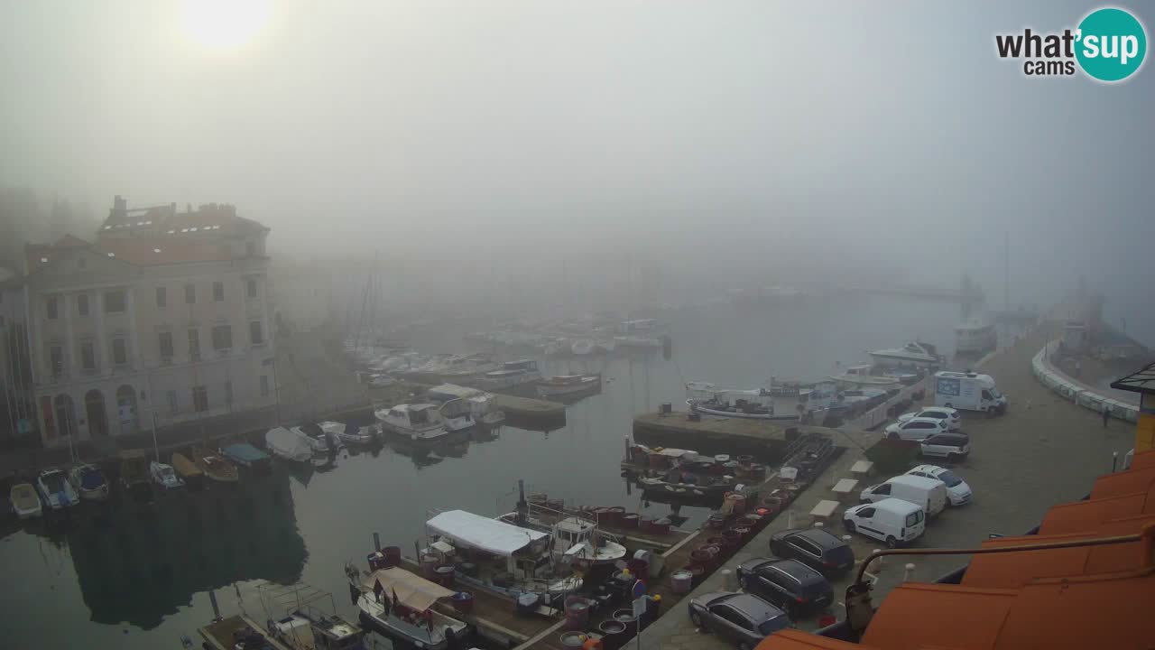 Live webcam da Pirano “Mandrač” – Splendida vista live da Villa Piranesi