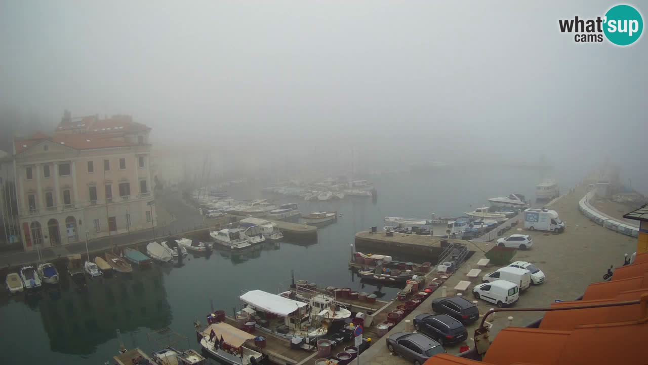 Iz Pirana Spletna kamera v živo “Mandrač” – Neverjeten pogled v živo iz Vile Piranesi