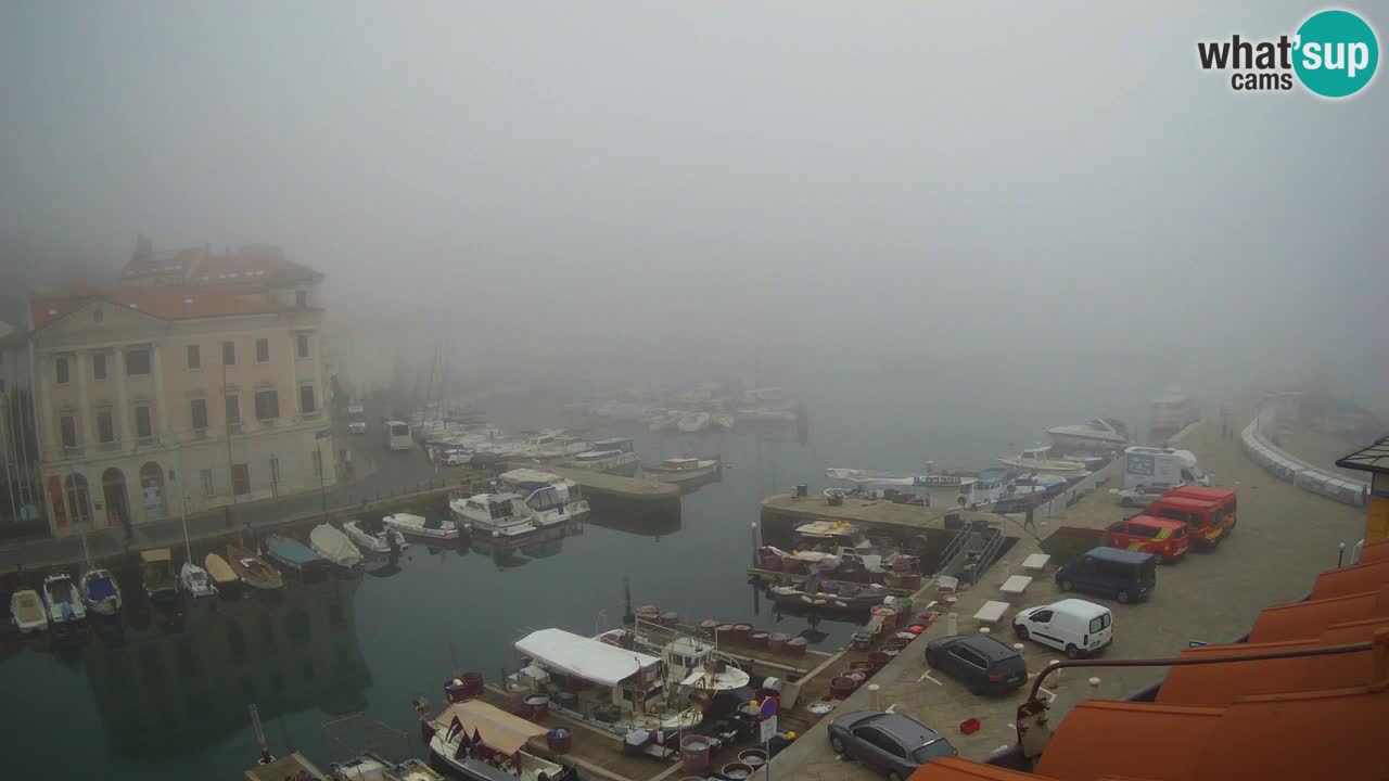 Web kamera uživo iz Pirana “Mandrač” – Nevjerojatan pogled uživo iz Ville Piranesi