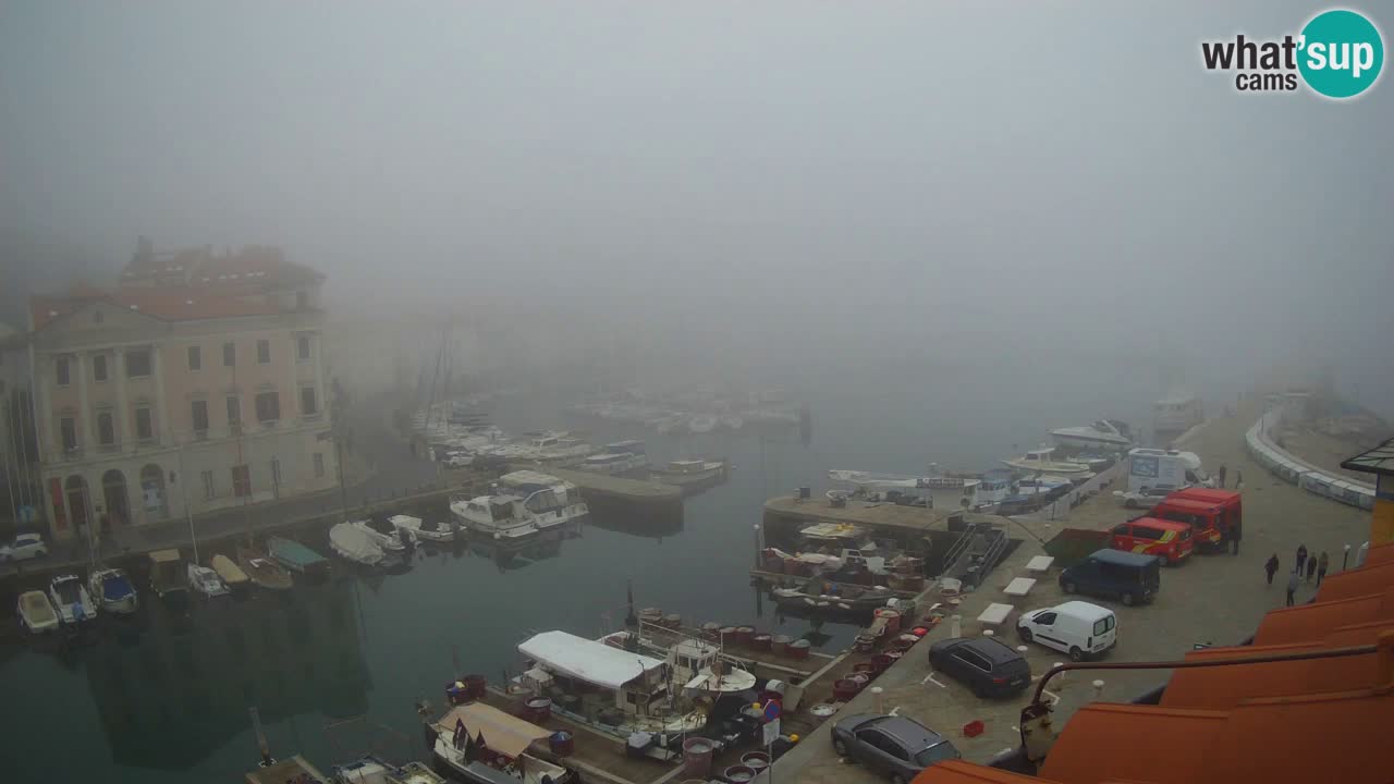 Live webcam da Pirano “Mandrač” – Splendida vista live da Villa Piranesi