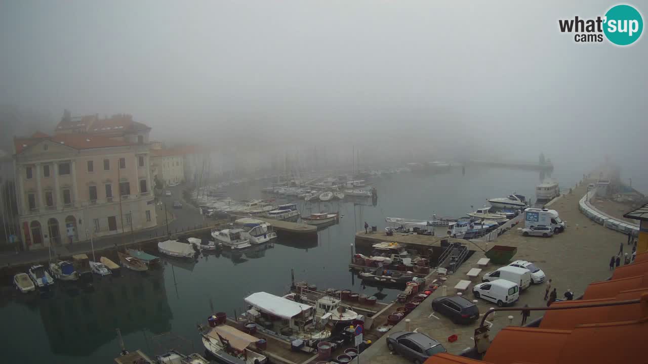 Live-Webcam aus Piran “Mandrač” – Erstaunliche Live-Ansicht von Villa Piranesi