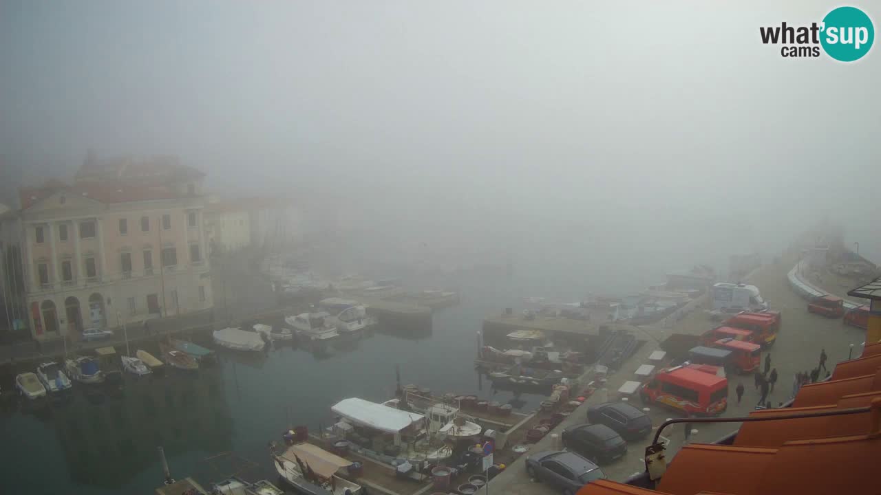 Webcam en direct de Piran « Mandrač » – Incroyable vue en direct de la Villa Piranesi