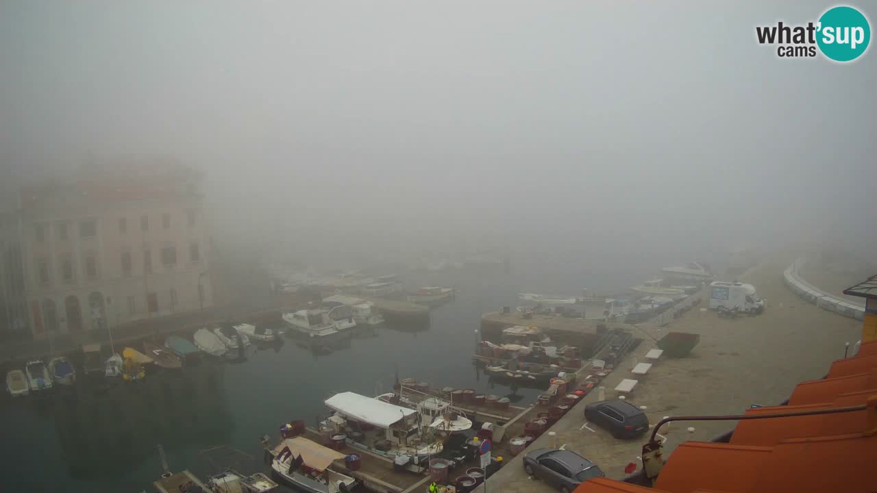 Live webcam da Pirano “Mandrač” – Splendida vista live da Villa Piranesi