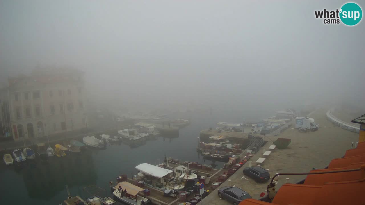 Live webcam da Pirano “Mandrač” – Splendida vista live da Villa Piranesi