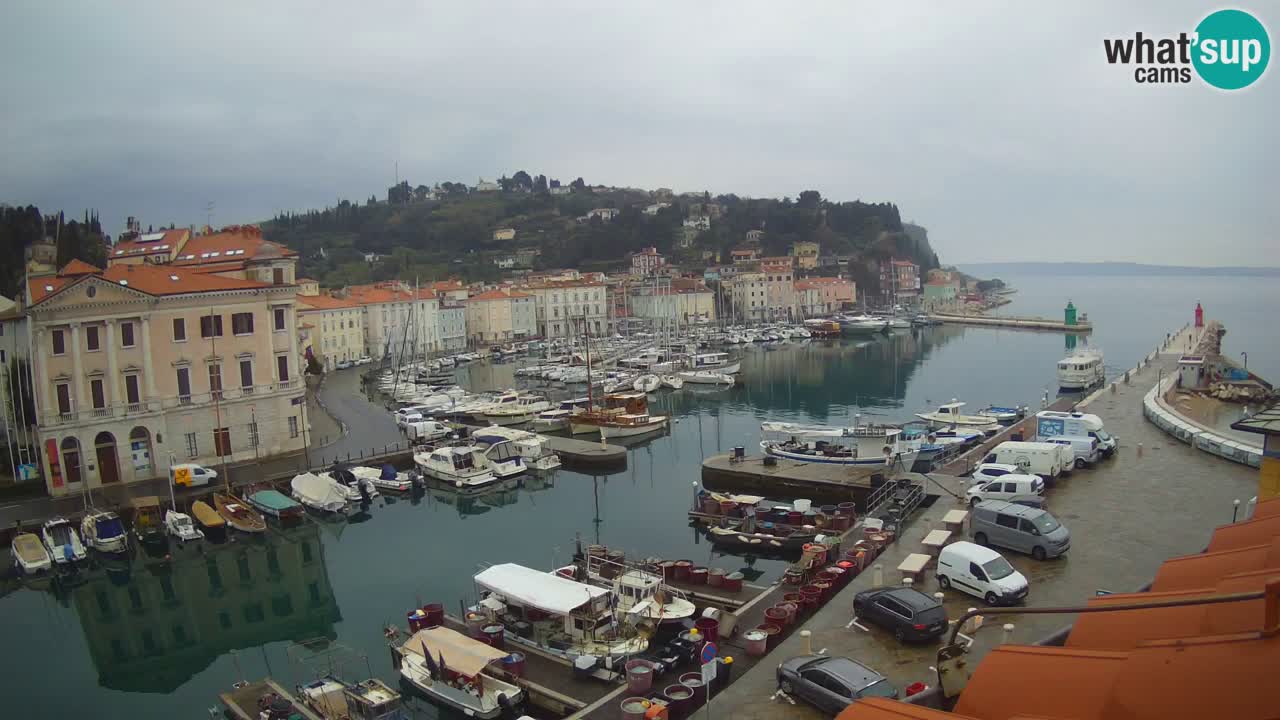 Live webcam from Piran “Mandrač” – Amazing live view from Villa Piranesi