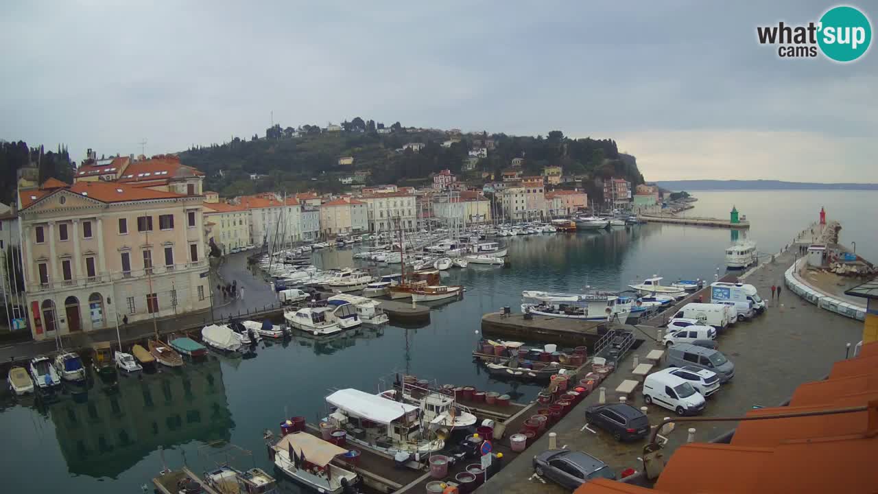 Live webcam from Piran “Mandrač” – Amazing live view from Villa Piranesi