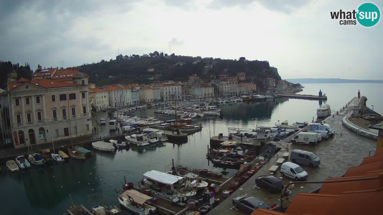 Live webcam from Piran “Mandrač” – Amazing live view from Villa Piranesi