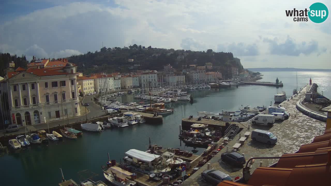 Iz Pirana Spletna kamera v živo “Mandrač” – Neverjeten pogled v živo iz Vile Piranesi