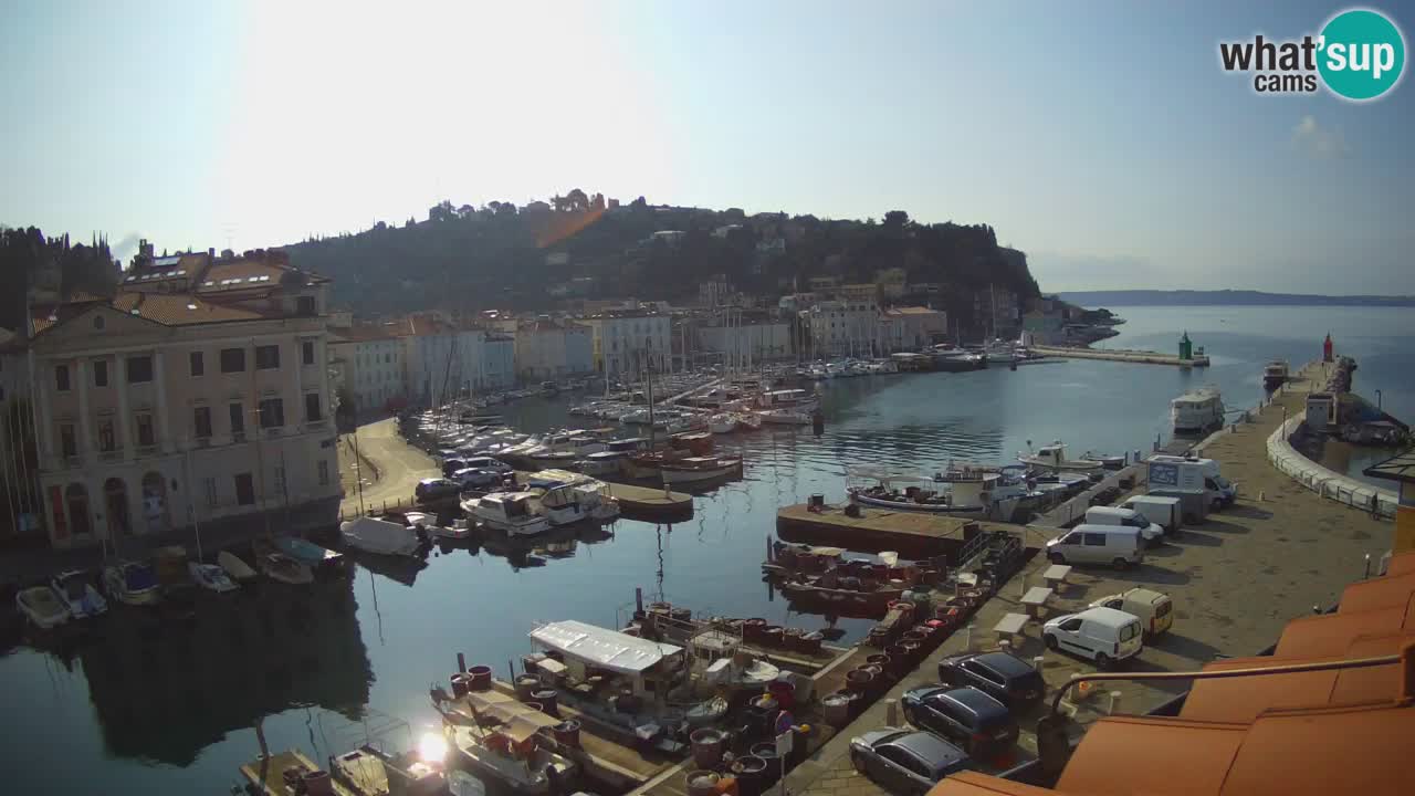 Web kamera uživo iz Pirana “Mandrač” – Nevjerojatan pogled uživo iz Ville Piranesi