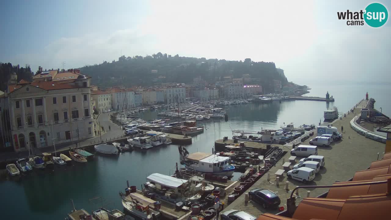 Web kamera uživo iz Pirana “Mandrač” – Nevjerojatan pogled uživo iz Ville Piranesi