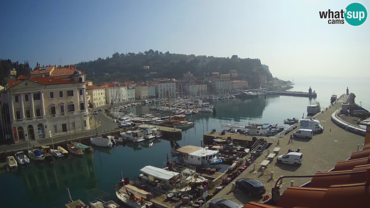 Web kamera uživo iz Pirana “Mandrač” – Nevjerojatan pogled uživo iz Ville Piranesi