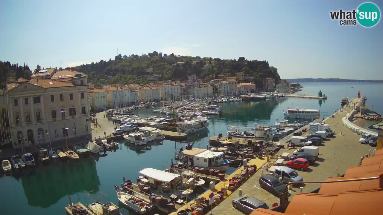 Iz Pirana Spletna kamera v živo “Mandrač” – Neverjeten pogled v živo iz Vile Piranesi