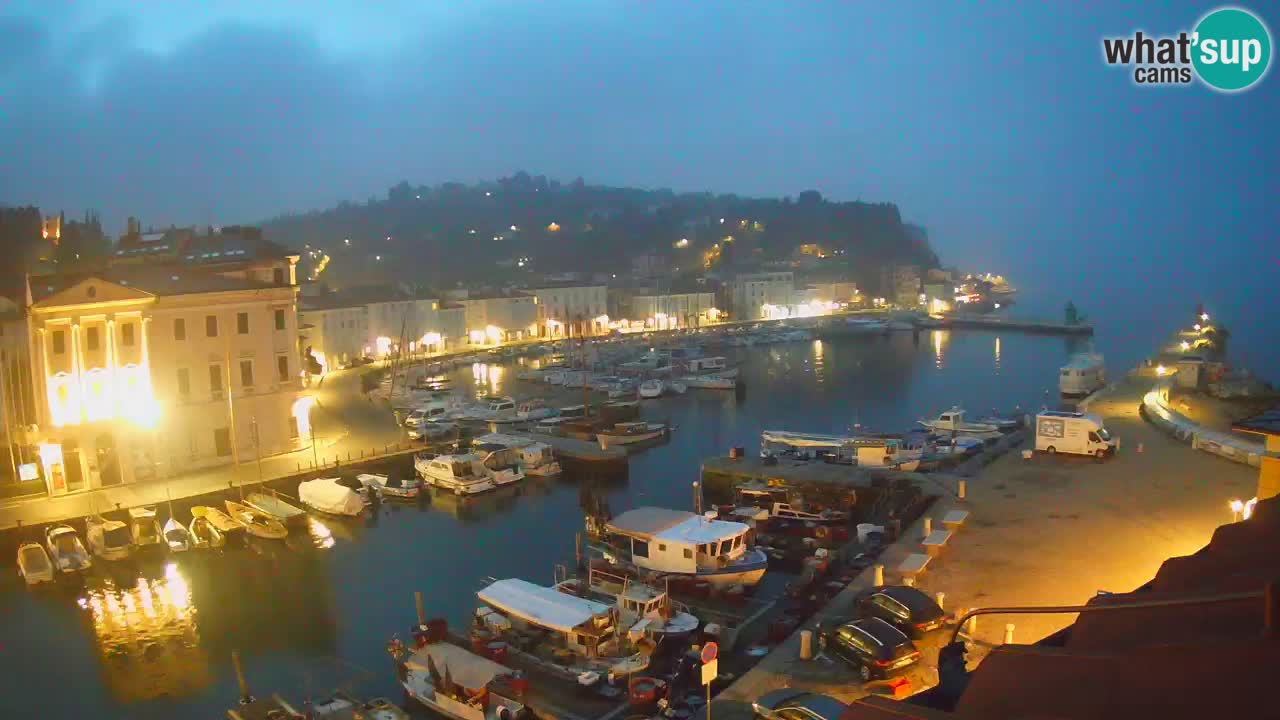 Iz Pirana Spletna kamera v živo “Mandrač” – Neverjeten pogled v živo iz Vile Piranesi