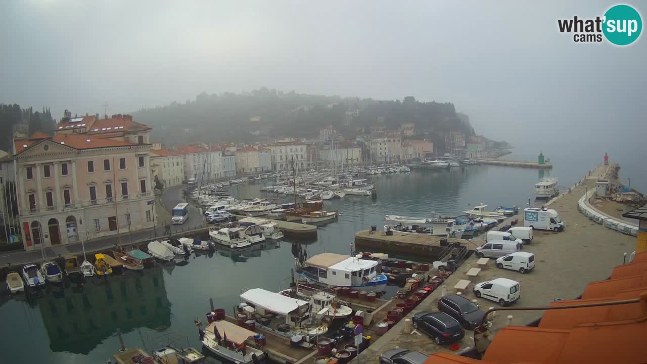 Web kamera uživo iz Pirana “Mandrač” – Nevjerojatan pogled uživo iz Ville Piranesi