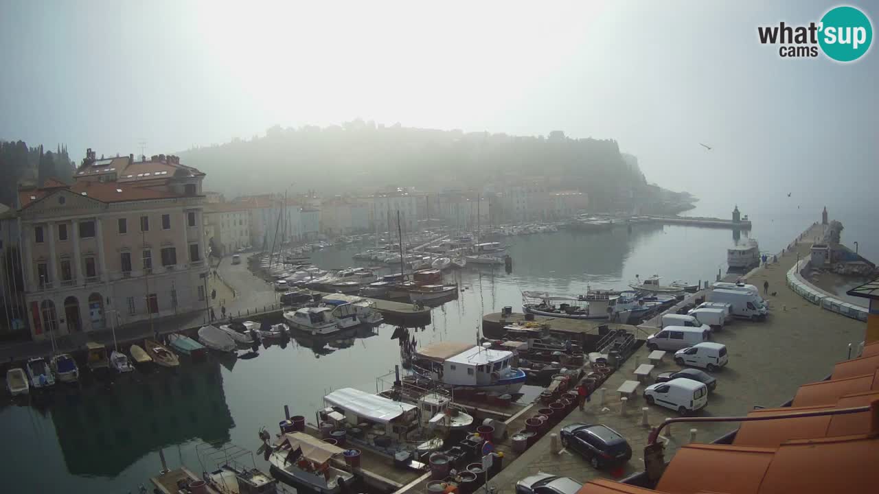 Web kamera uživo iz Pirana “Mandrač” – Nevjerojatan pogled uživo iz Ville Piranesi