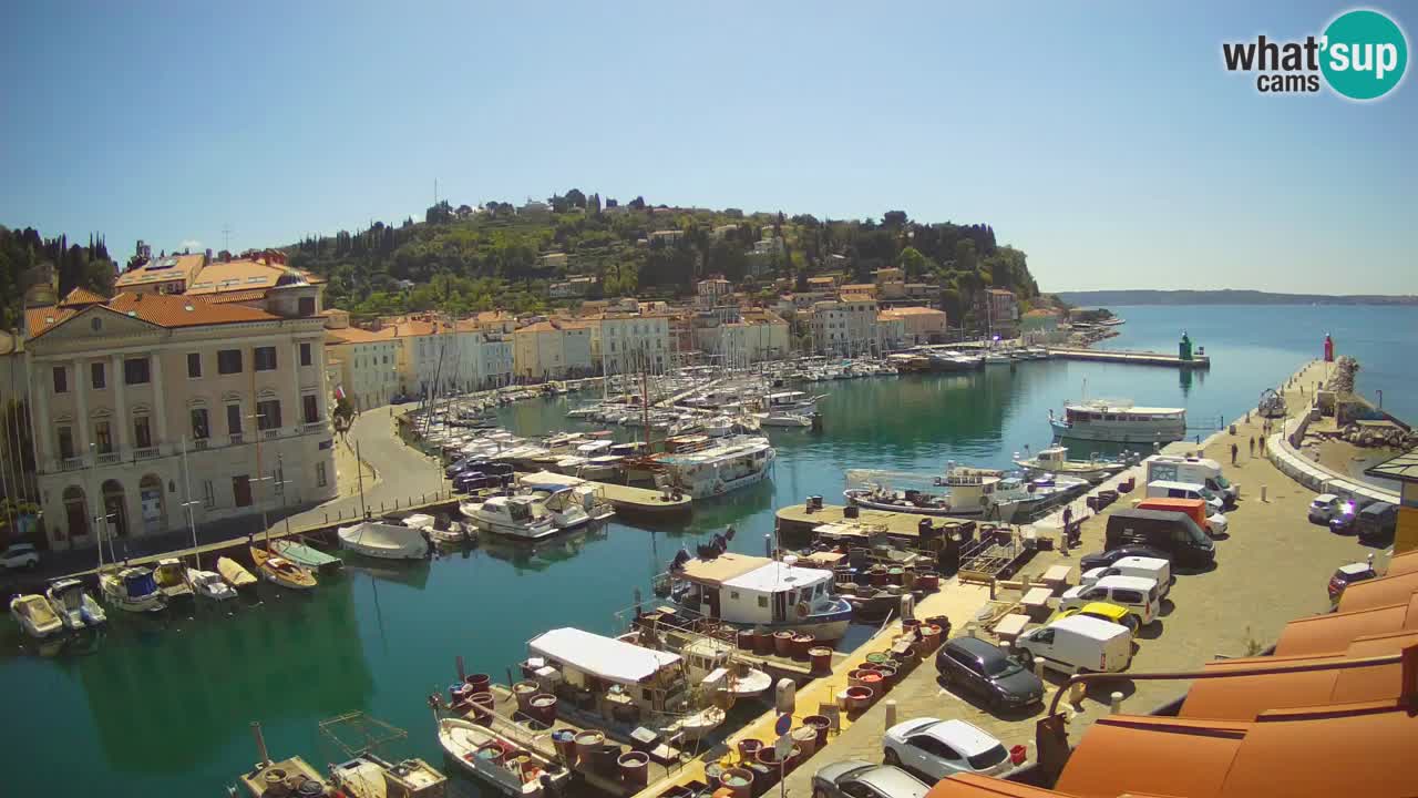 Web kamera uživo iz Pirana “Mandrač” – Nevjerojatan pogled uživo iz Ville Piranesi