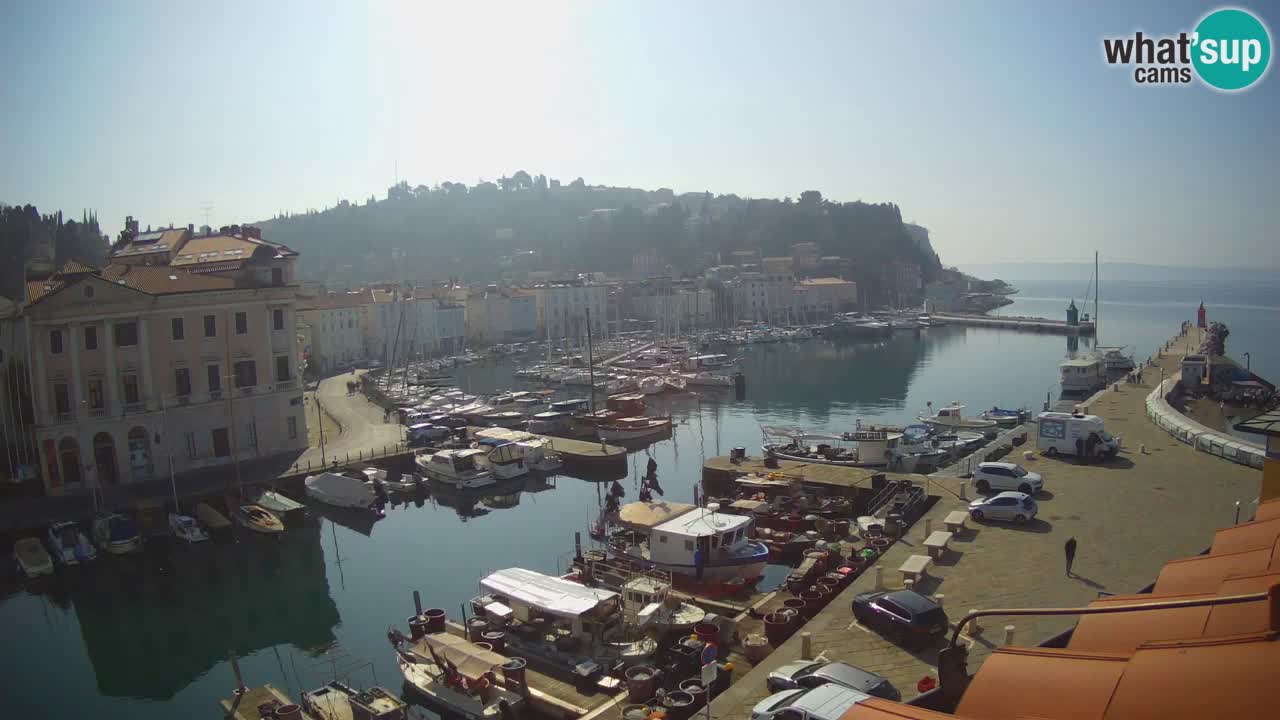 Iz Pirana Spletna kamera v živo “Mandrač” – Neverjeten pogled v živo iz Vile Piranesi