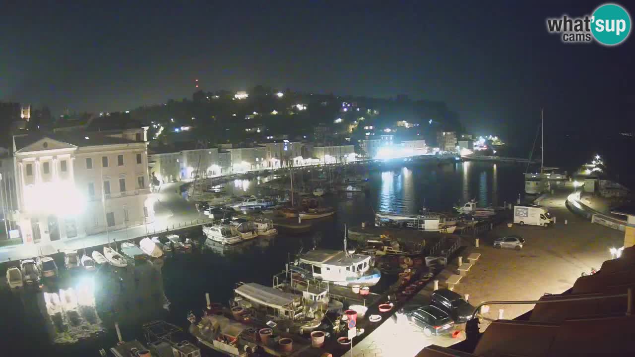 Iz Pirana Spletna kamera v živo “Mandrač” – Neverjeten pogled v živo iz Vile Piranesi