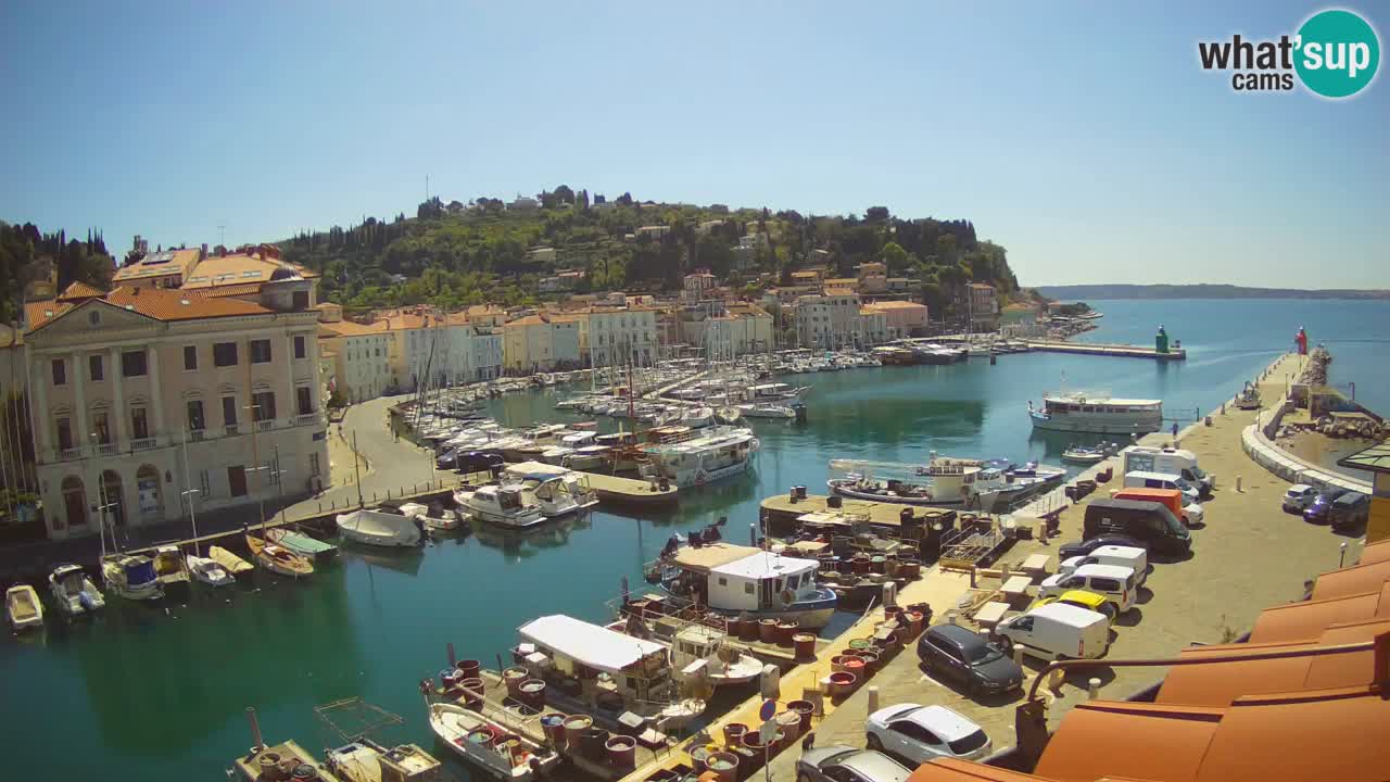 Live webcam da Pirano “Mandrač” – Splendida vista live da Villa Piranesi