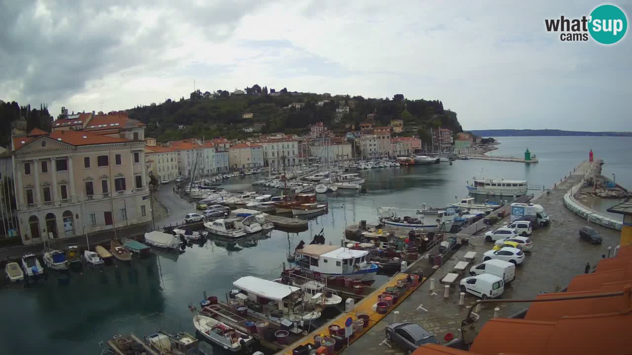 Iz Pirana Spletna kamera v živo “Mandrač” – Neverjeten pogled v živo iz Vile Piranesi