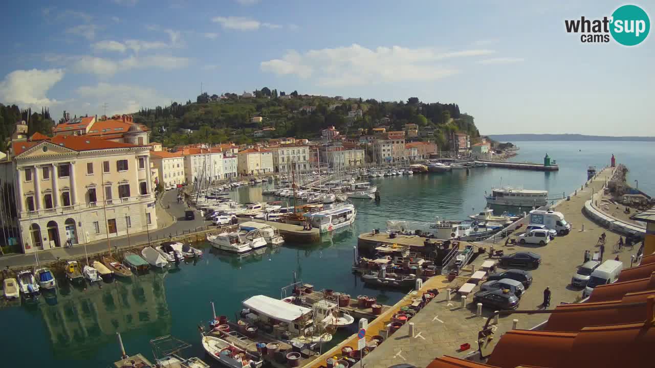 Iz Pirana Spletna kamera v živo “Mandrač” – Neverjeten pogled v živo iz Vile Piranesi