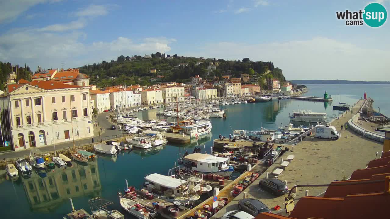 Iz Pirana Spletna kamera v živo “Mandrač” – Neverjeten pogled v živo iz Vile Piranesi