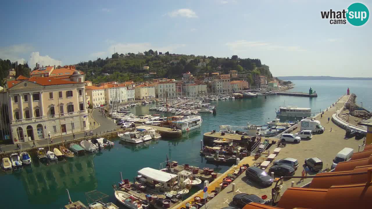 Web kamera uživo iz Pirana “Mandrač” – Nevjerojatan pogled uživo iz Ville Piranesi