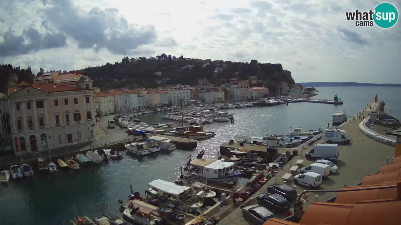 Webcam en direct de Piran « Mandrač » – Incroyable vue en direct de la Villa Piranesi