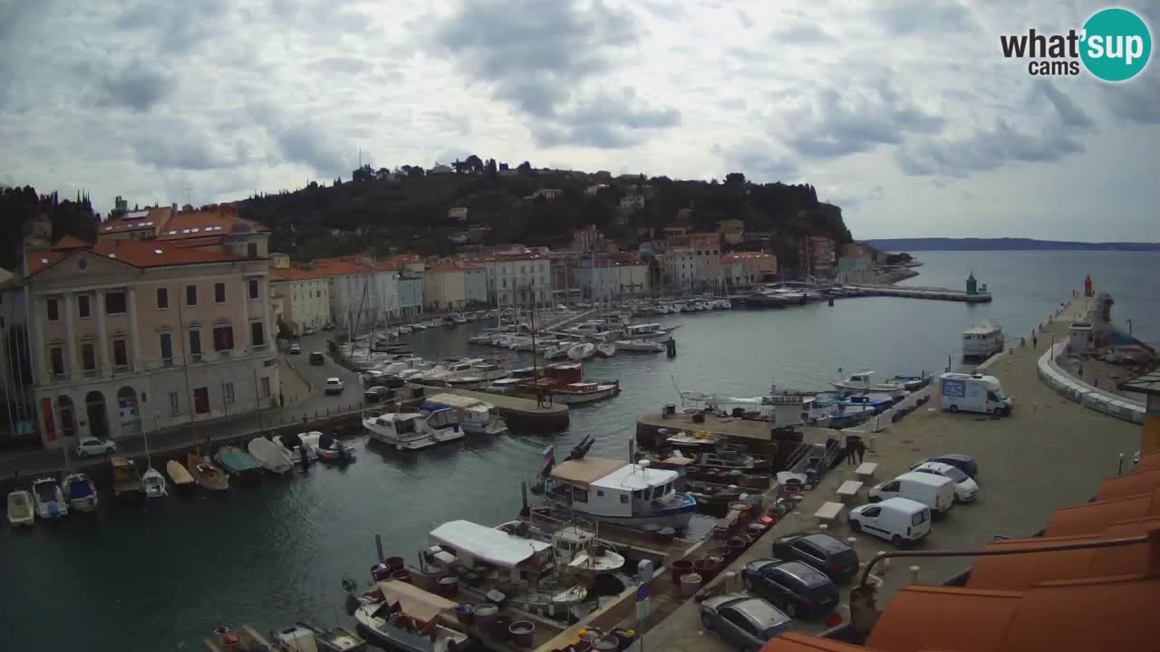 Iz Pirana Spletna kamera v živo “Mandrač” – Neverjeten pogled v živo iz Vile Piranesi