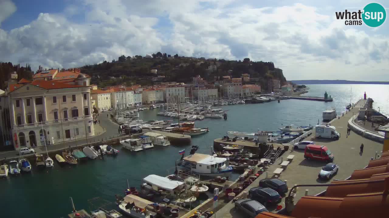 Web kamera uživo iz Pirana “Mandrač” – Nevjerojatan pogled uživo iz Ville Piranesi