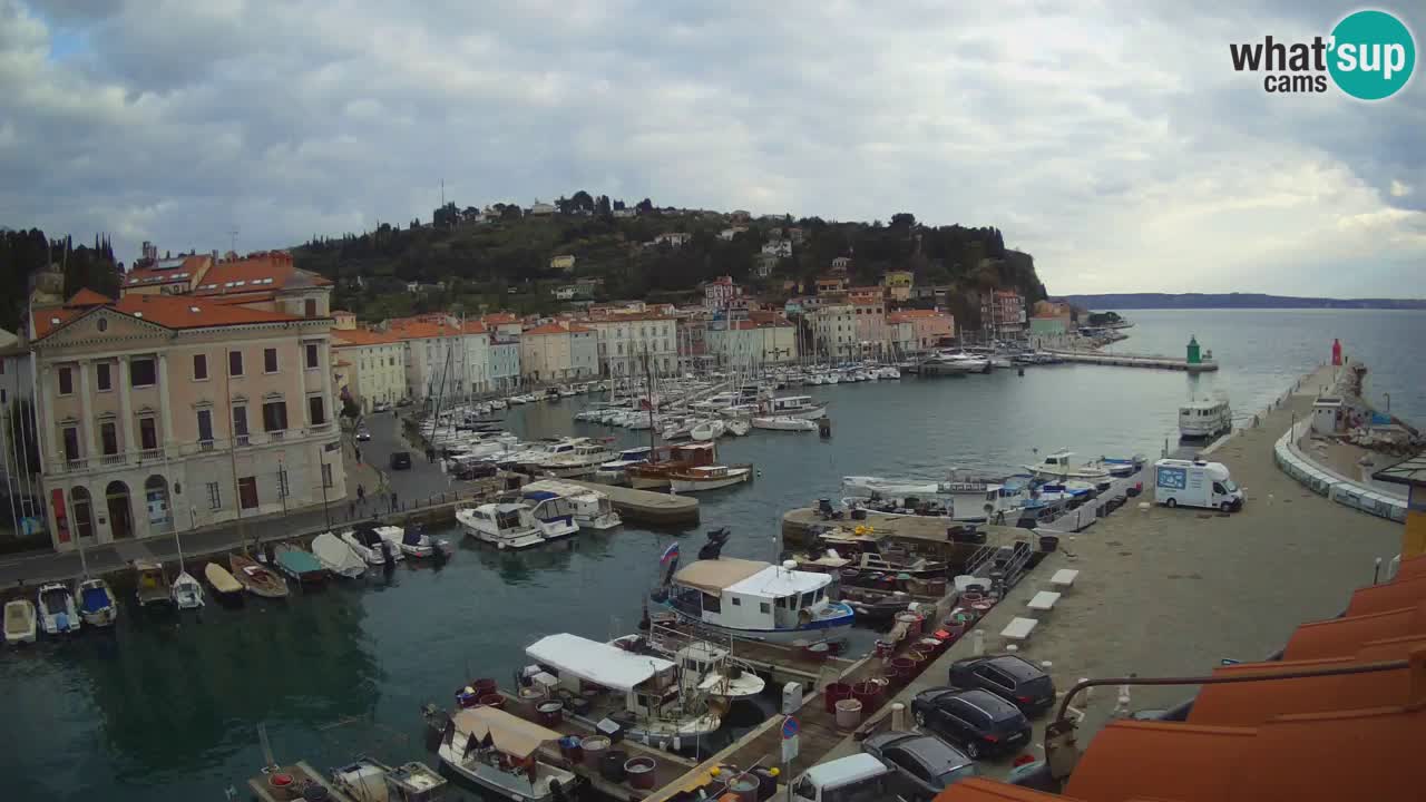 Webcam en direct de Piran « Mandrač » – Incroyable vue en direct de la Villa Piranesi