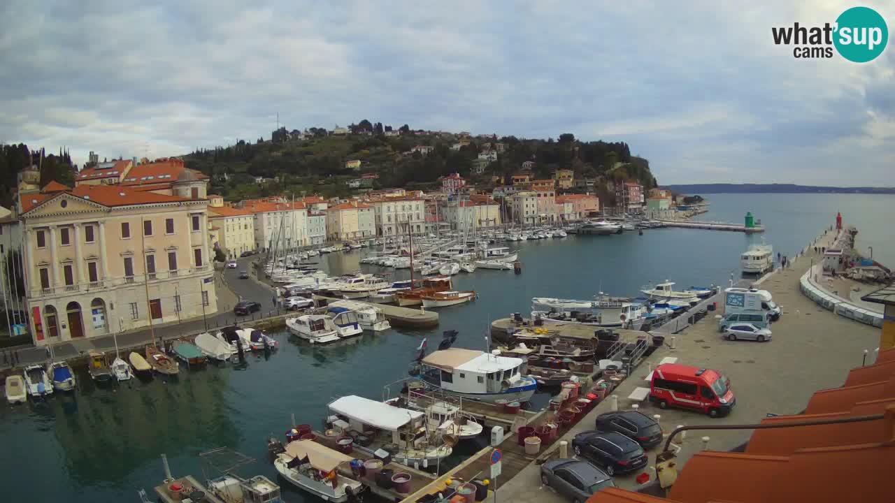 Iz Pirana Spletna kamera v živo “Mandrač” – Neverjeten pogled v živo iz Vile Piranesi