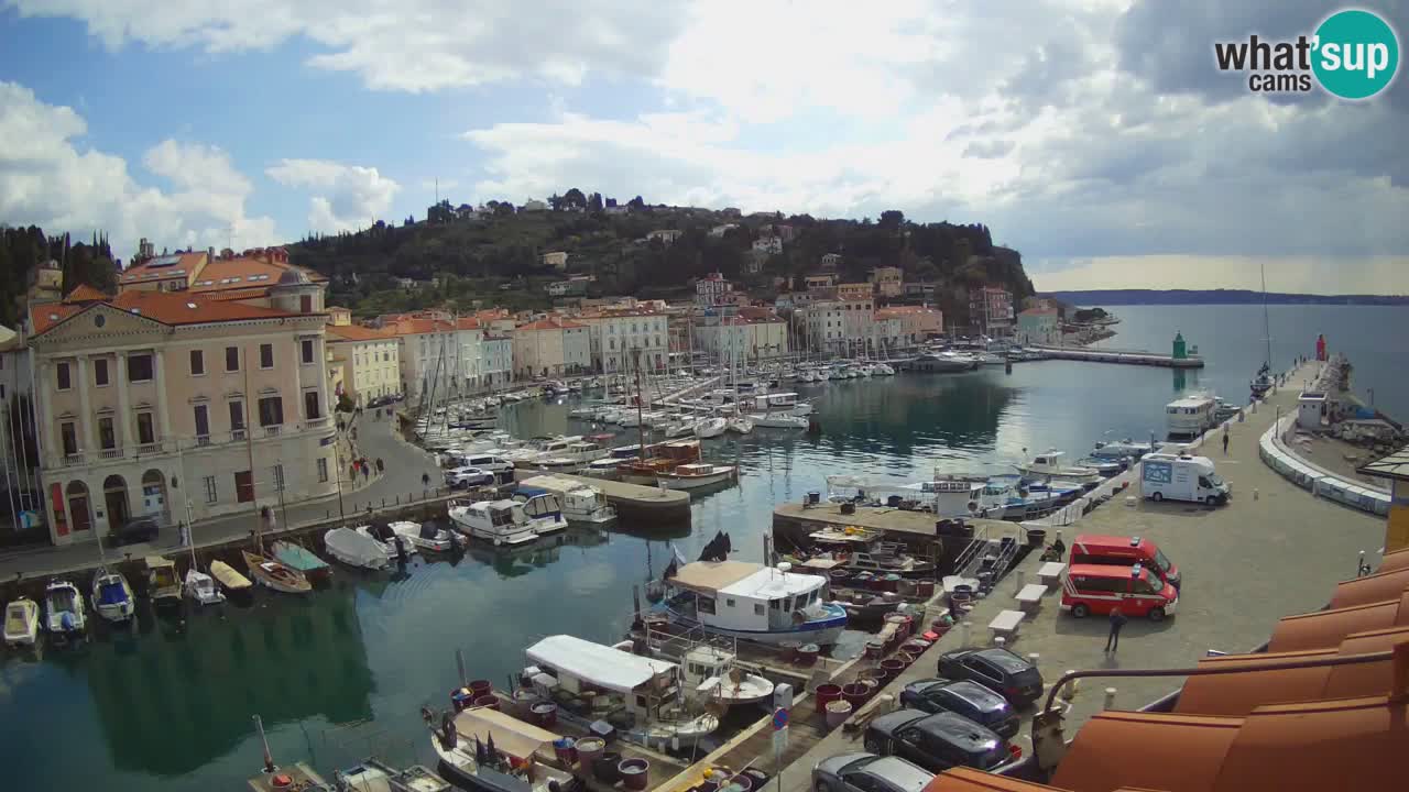 Web kamera uživo iz Pirana “Mandrač” – Nevjerojatan pogled uživo iz Ville Piranesi