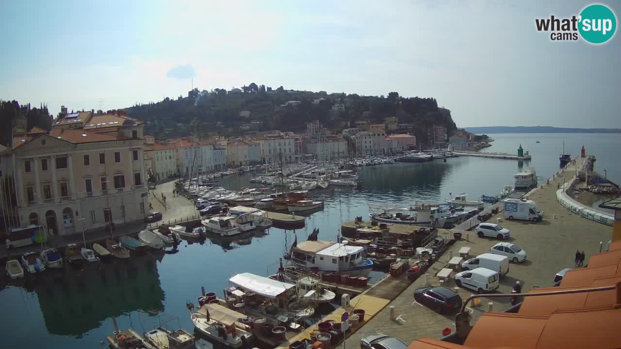 Iz Pirana Spletna kamera v živo “Mandrač” – Neverjeten pogled v živo iz Vile Piranesi