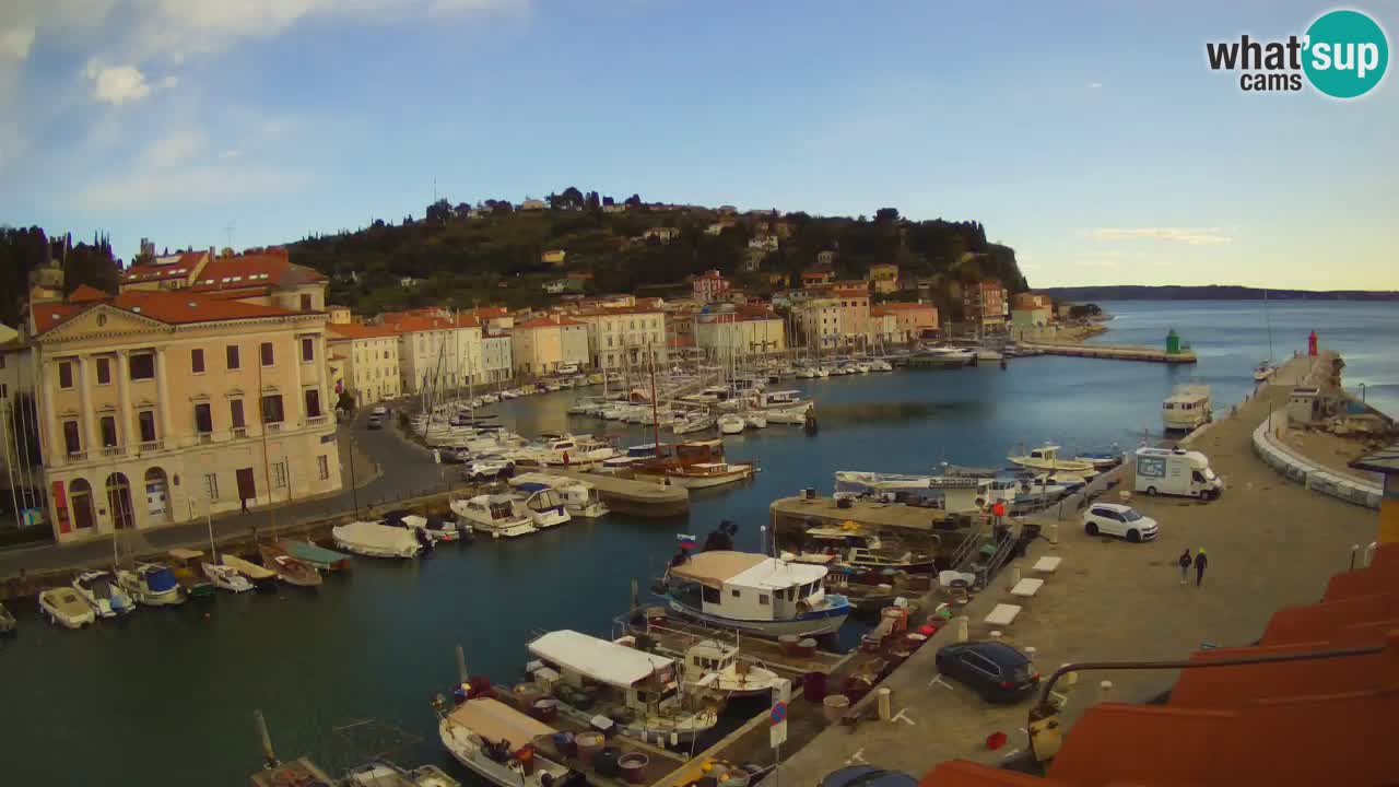 Iz Pirana Spletna kamera v živo “Mandrač” – Neverjeten pogled v živo iz Vile Piranesi