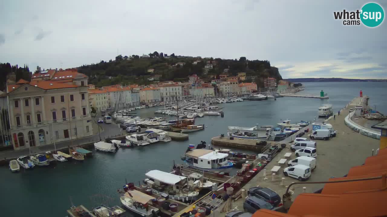 Live webcam from Piran “Mandrač” – Amazing live view from Villa Piranesi