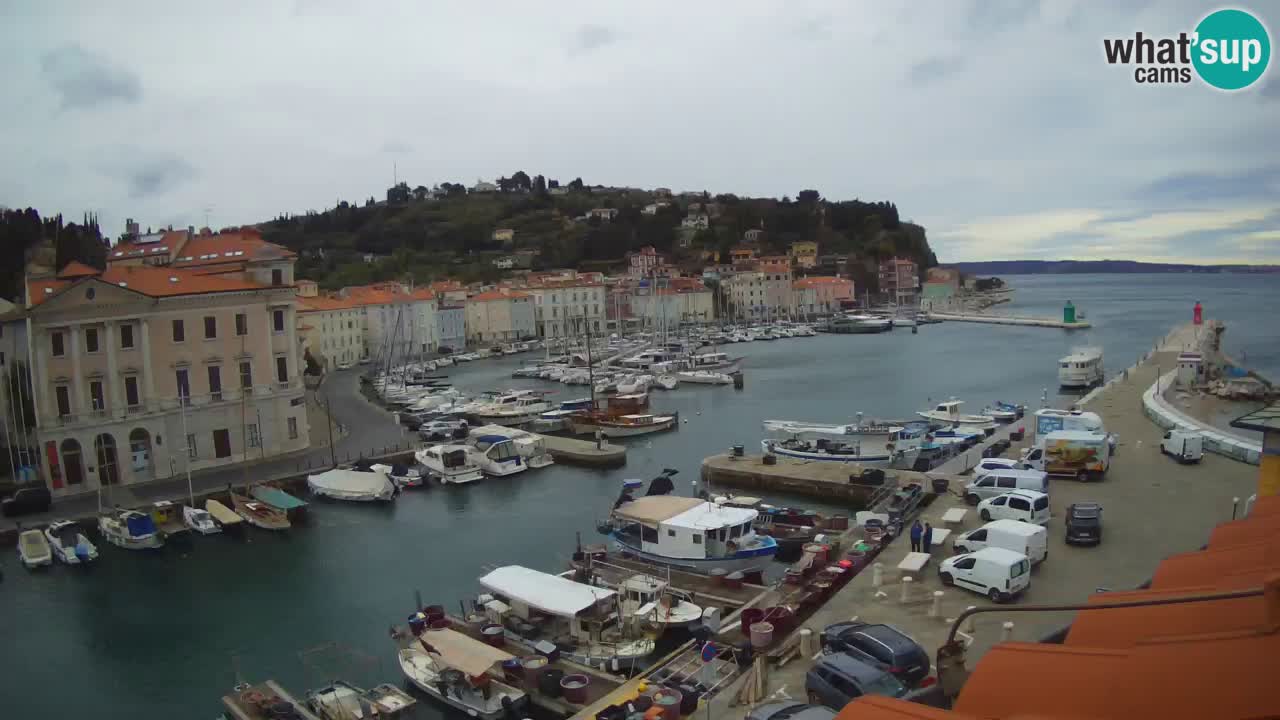 Web kamera uživo iz Pirana “Mandrač” – Nevjerojatan pogled uživo iz Ville Piranesi