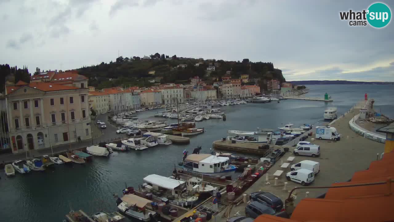 Live webcam da Pirano “Mandrač” – Splendida vista live da Villa Piranesi