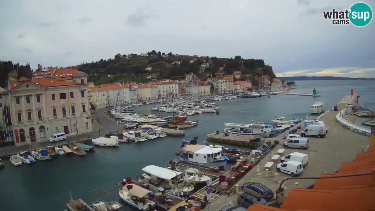 Live webcam da Pirano “Mandrač” – Splendida vista live da Villa Piranesi