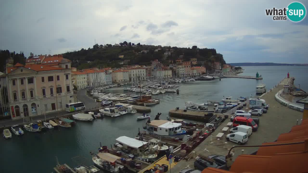 Iz Pirana Spletna kamera v živo “Mandrač” – Neverjeten pogled v živo iz Vile Piranesi