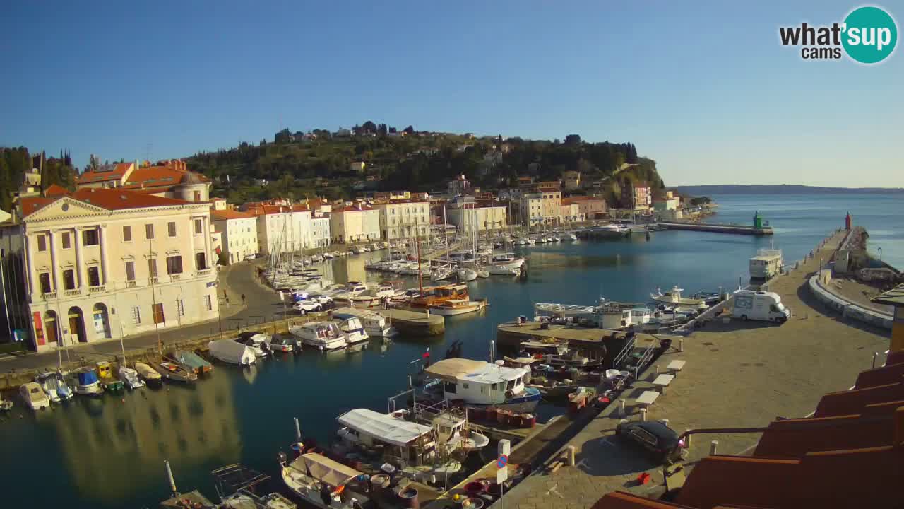 Web kamera uživo iz Pirana “Mandrač” – Nevjerojatan pogled uživo iz Ville Piranesi