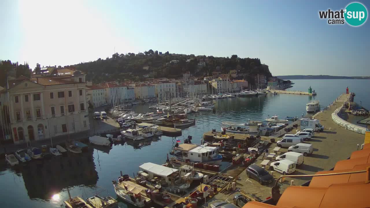 Web kamera uživo iz Pirana “Mandrač” – Nevjerojatan pogled uživo iz Ville Piranesi