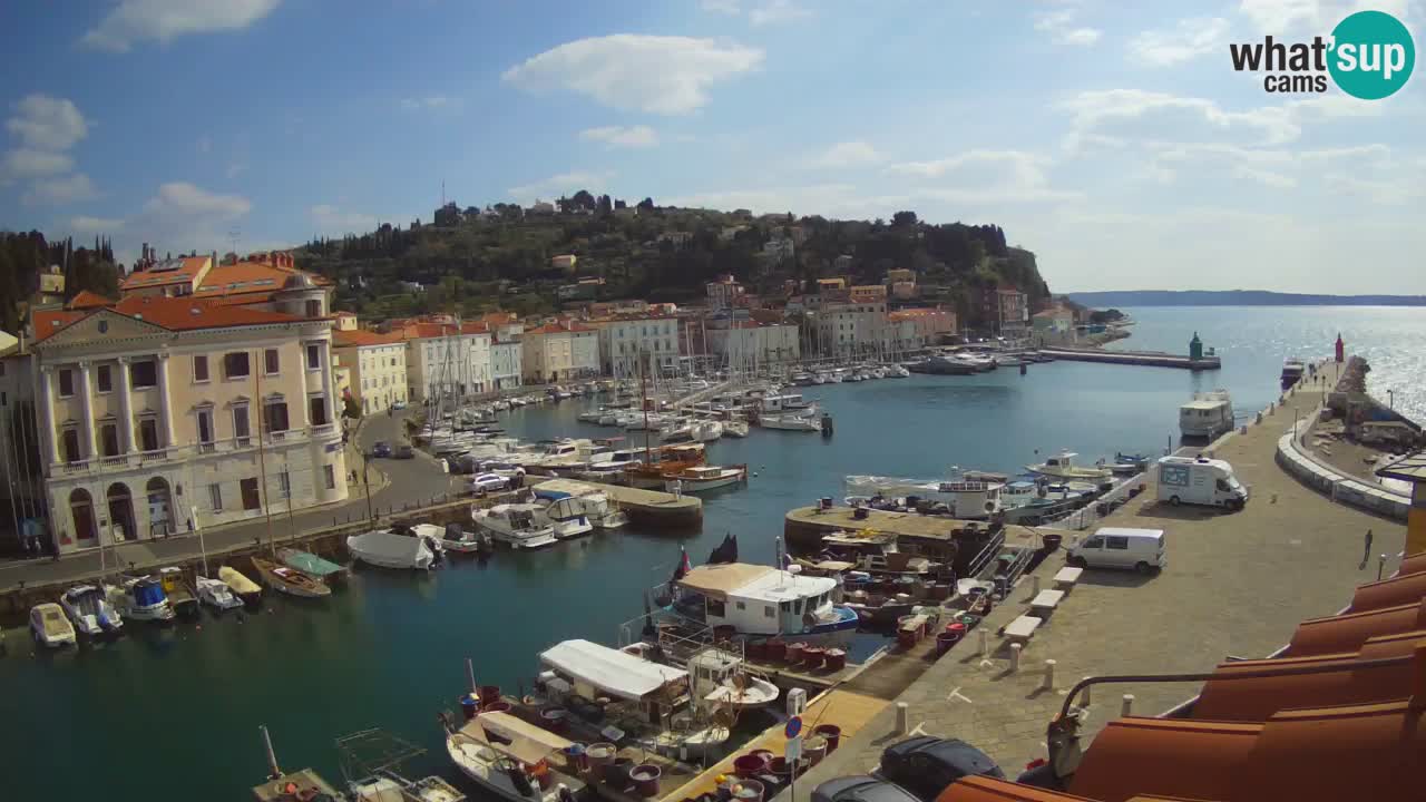 Live-Webcam aus Piran “Mandrač” – Erstaunliche Live-Ansicht von Villa Piranesi
