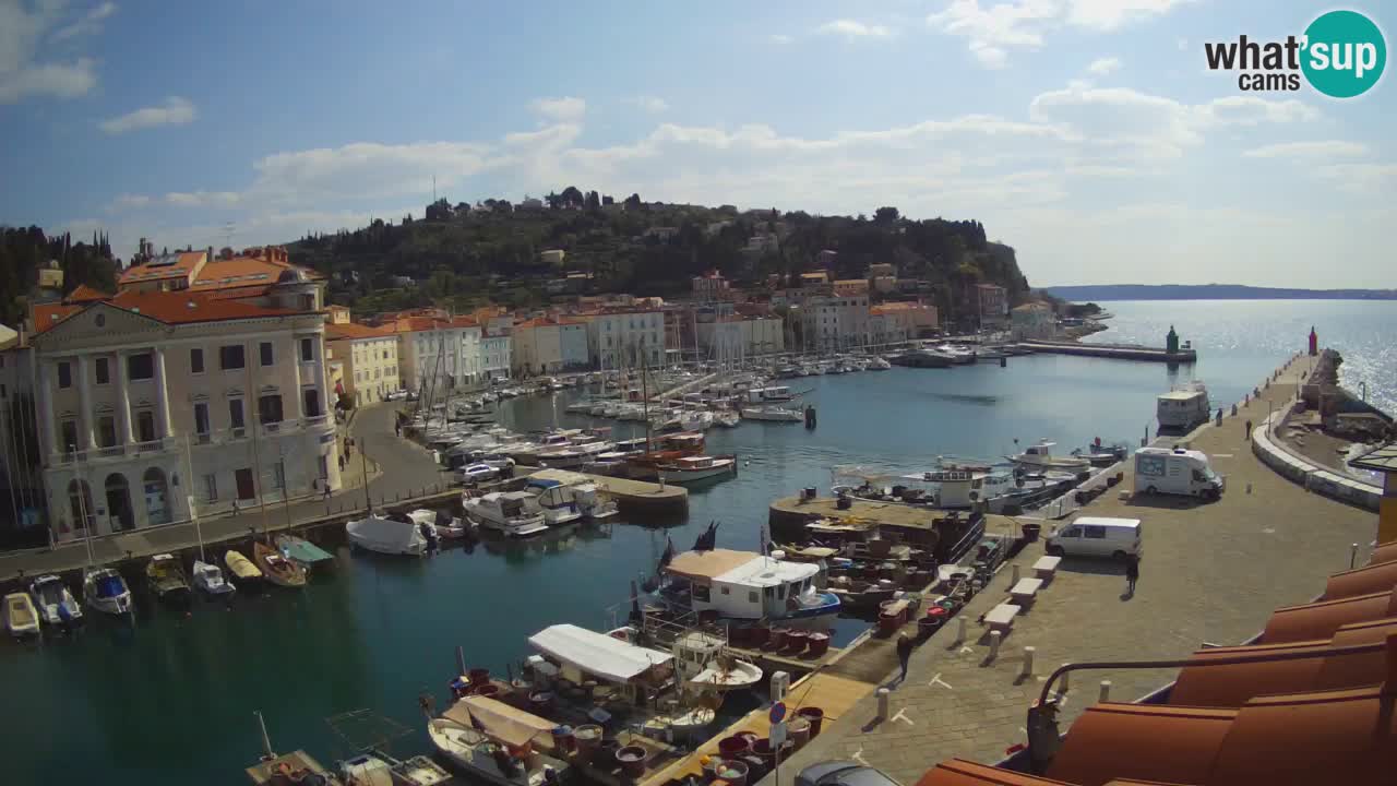 Iz Pirana Spletna kamera v živo “Mandrač” – Neverjeten pogled v živo iz Vile Piranesi