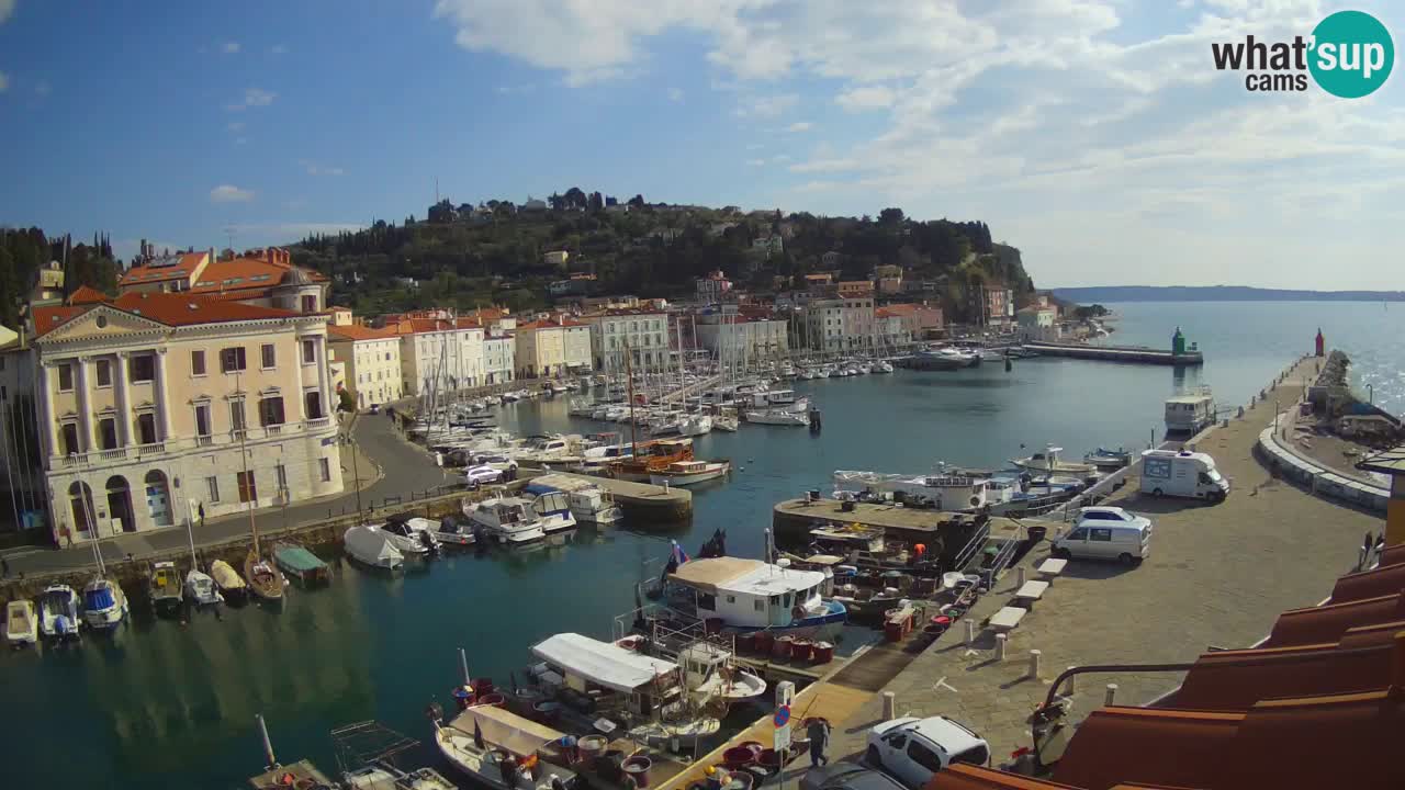 Iz Pirana Spletna kamera v živo “Mandrač” – Neverjeten pogled v živo iz Vile Piranesi