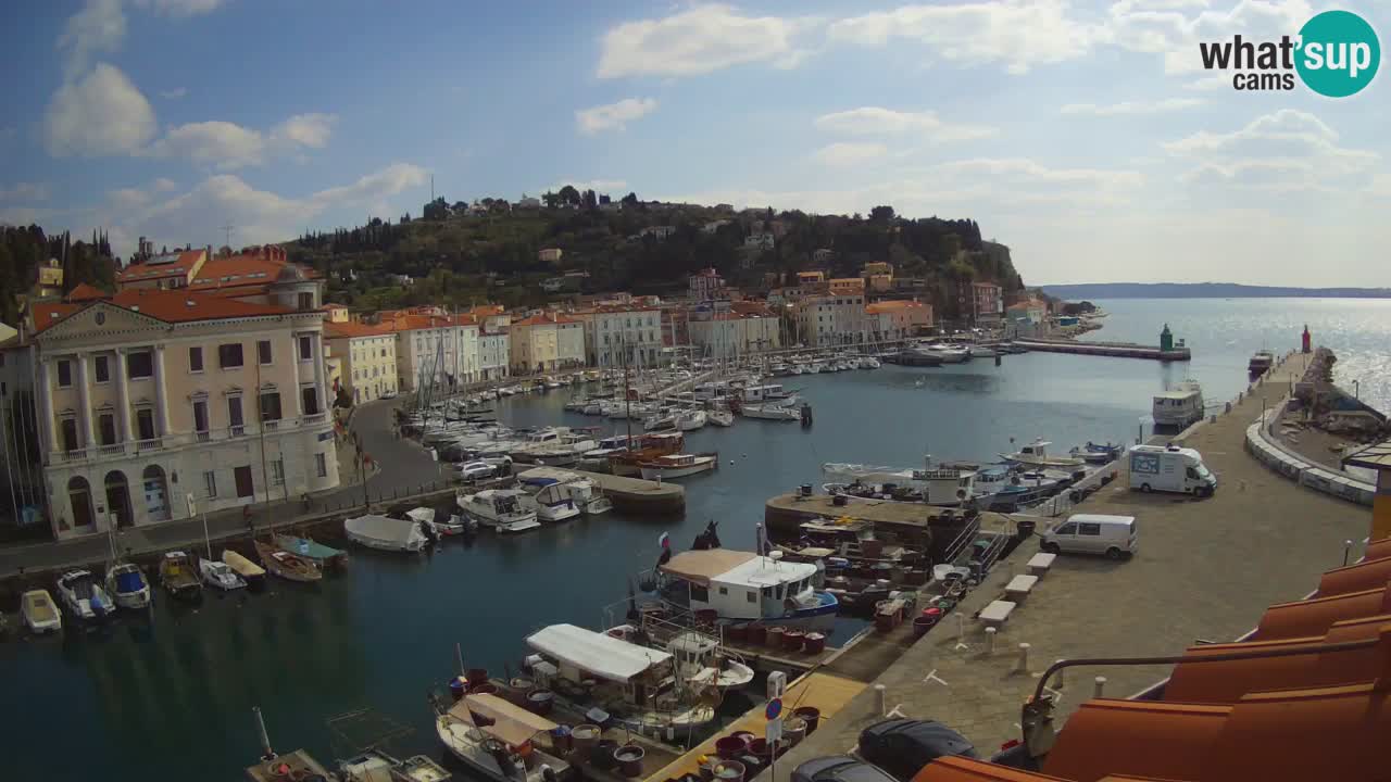 Iz Pirana Spletna kamera v živo “Mandrač” – Neverjeten pogled v živo iz Vile Piranesi