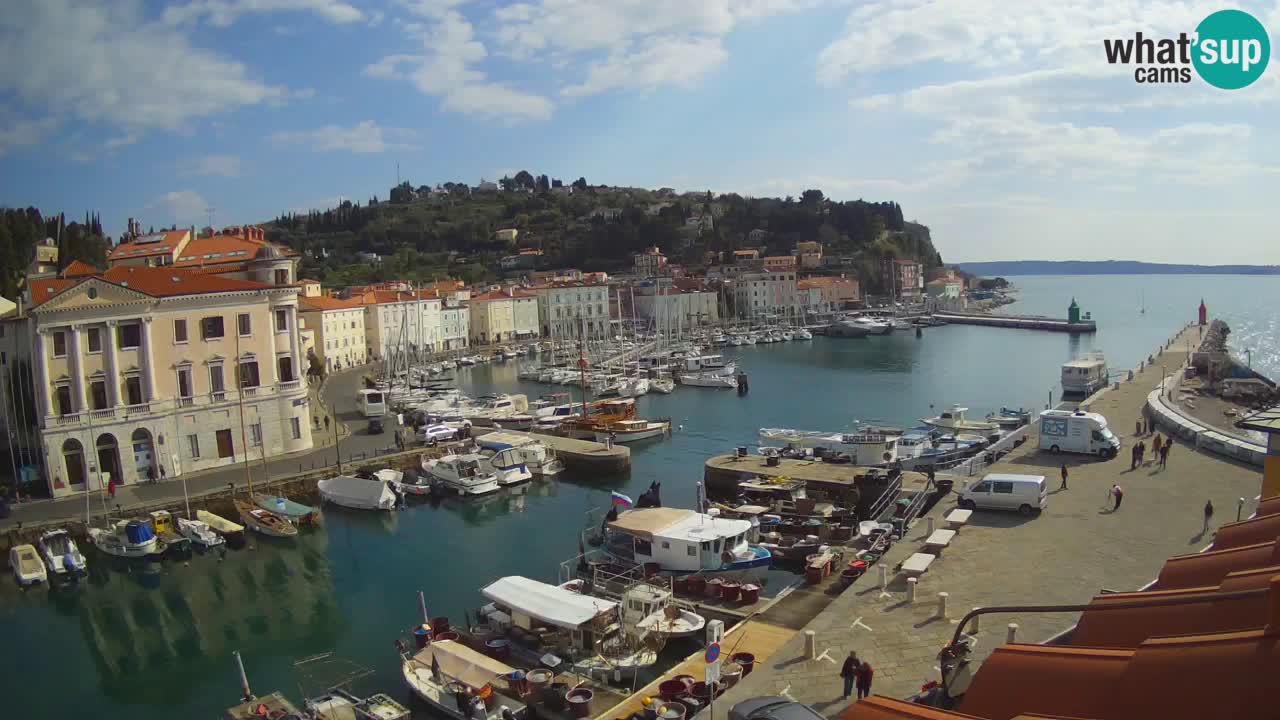 Iz Pirana Spletna kamera v živo “Mandrač” – Neverjeten pogled v živo iz Vile Piranesi