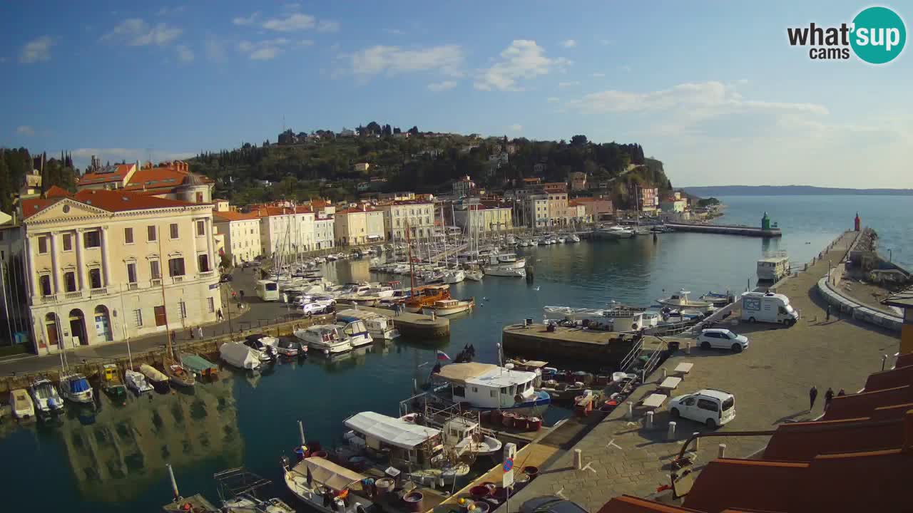 Iz Pirana Spletna kamera v živo “Mandrač” – Neverjeten pogled v živo iz Vile Piranesi