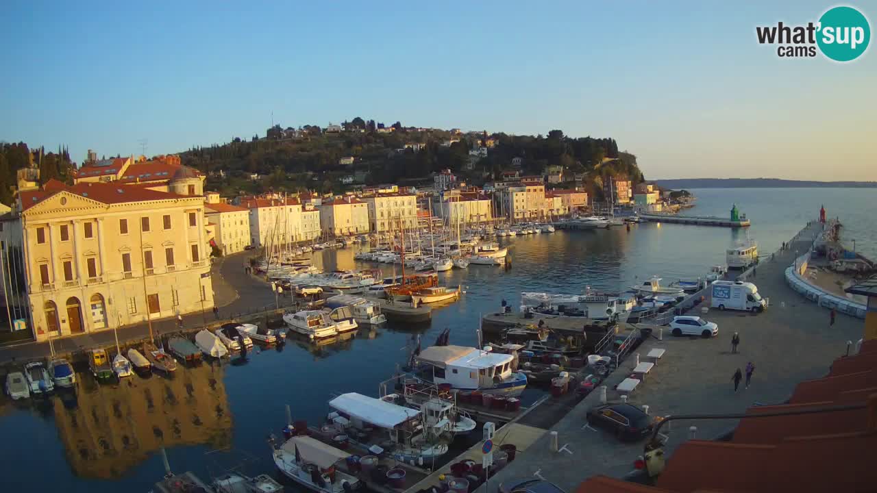 Iz Pirana Spletna kamera v živo “Mandrač” – Neverjeten pogled v živo iz Vile Piranesi