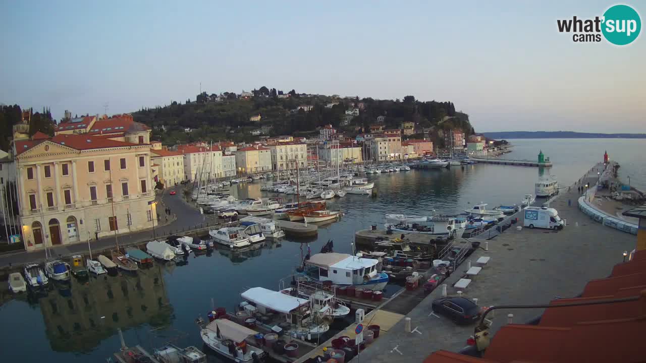 Iz Pirana Spletna kamera v živo “Mandrač” – Neverjeten pogled v živo iz Vile Piranesi